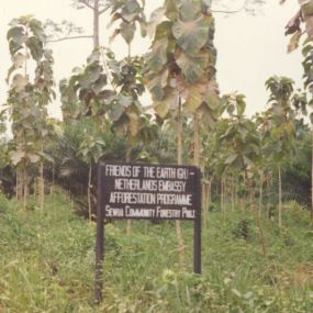 Afforestation project
